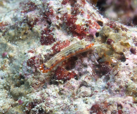 f0014842_15355078.jpg