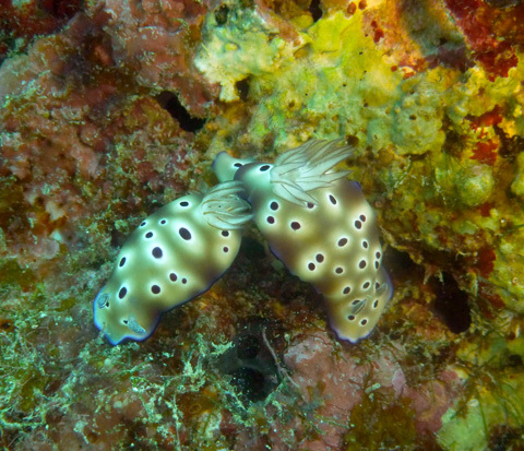 f0014842_15355132.jpg