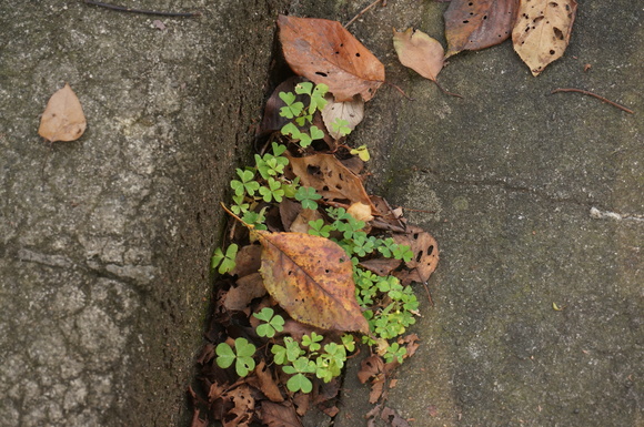 f0257756_140466.jpg