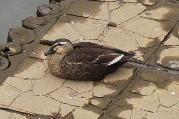 f0257756_1413062.jpg
