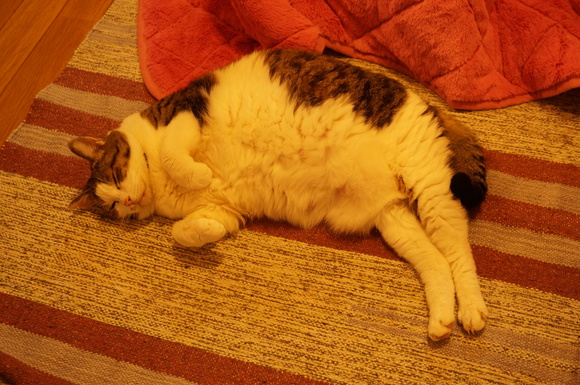f0257756_2303031.jpg