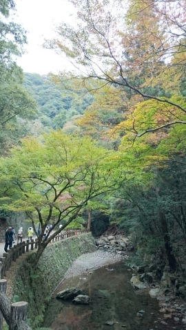 f0146466_22373832.jpg