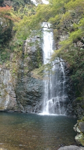 f0146466_22374295.jpg