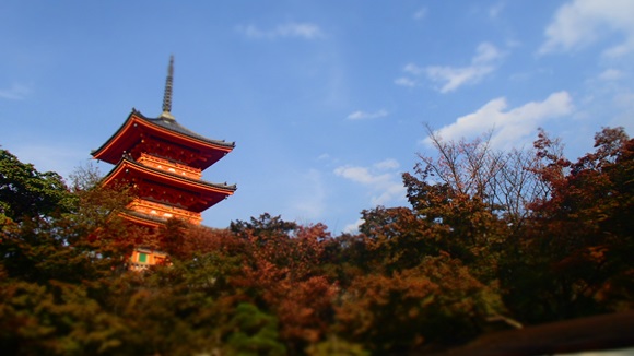 b0050067_16142520.jpg