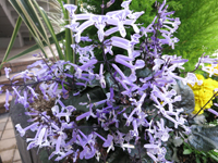 c0117570_12533046.jpg