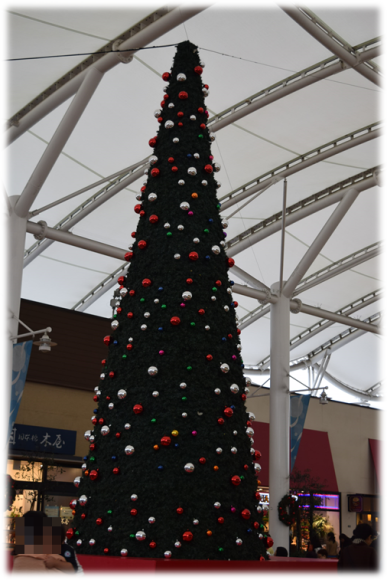b0242873_15020329.png