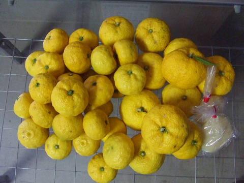 c0022275_16105130.jpg