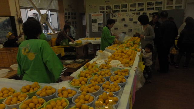 c0022275_168266.jpg
