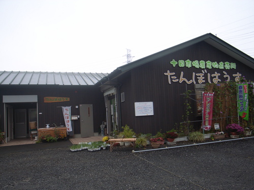 a0157088_2246637.jpg