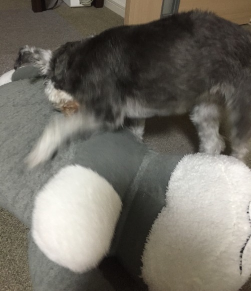 b0188998_00220318.jpeg