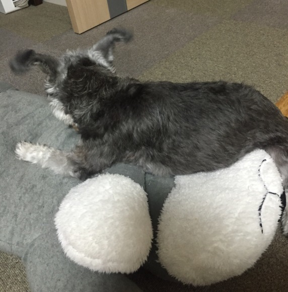 b0188998_00221640.jpeg