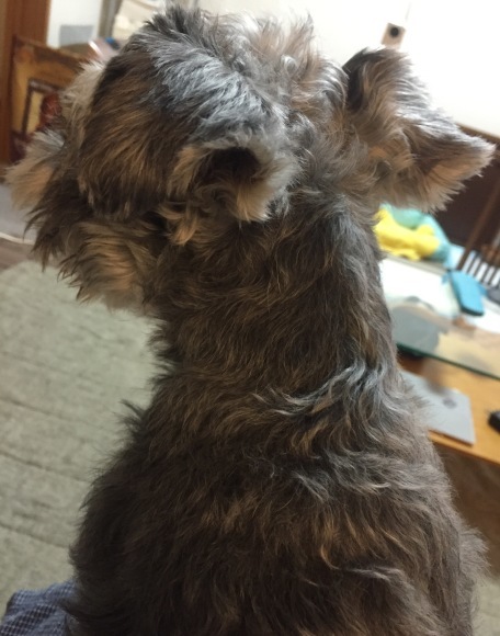 b0188998_00222917.jpeg