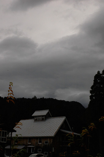 a0061599_7544216.jpg