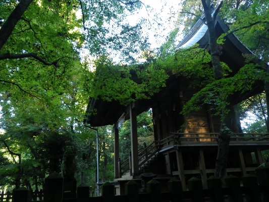 f0187402_17572049.jpg