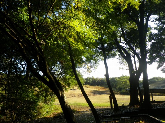 f0187402_17573024.jpg