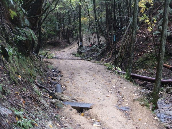 c0266004_18265850.jpg