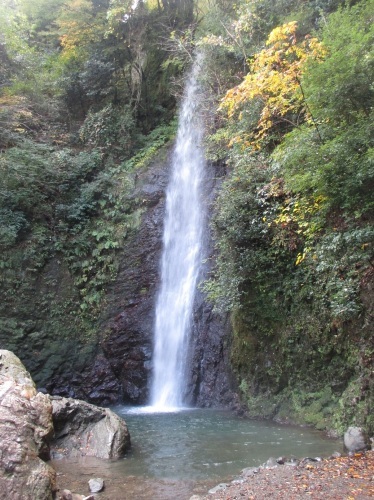 e0242504_20514410.jpg