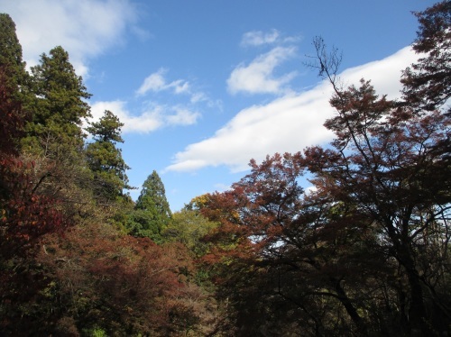 e0242504_21104072.jpg