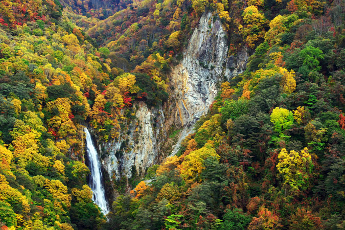 a0263109_20401394.jpg