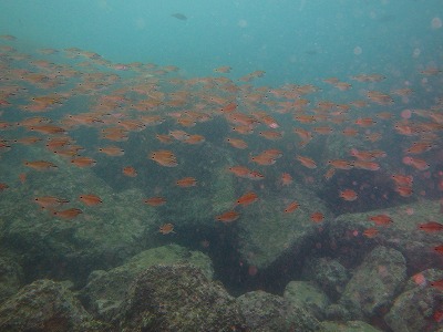 b0062010_10131282.jpg