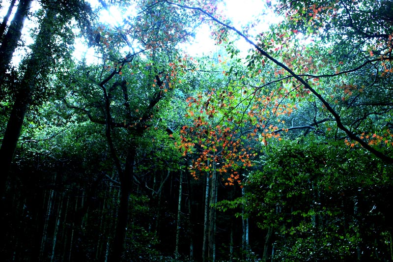 b0122522_11445783.jpg