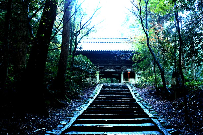 b0122522_123122100.jpg