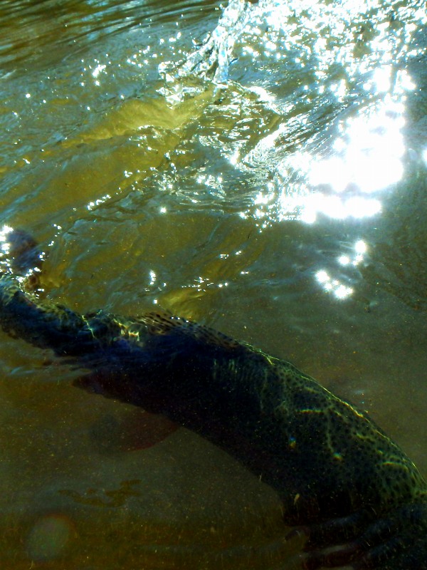 d0091323_12321573.jpg