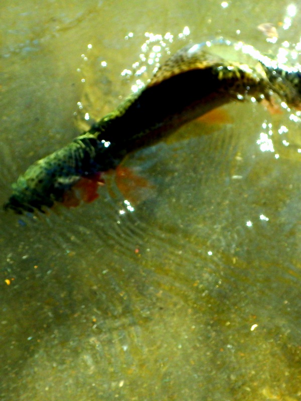 d0091323_12323371.jpg