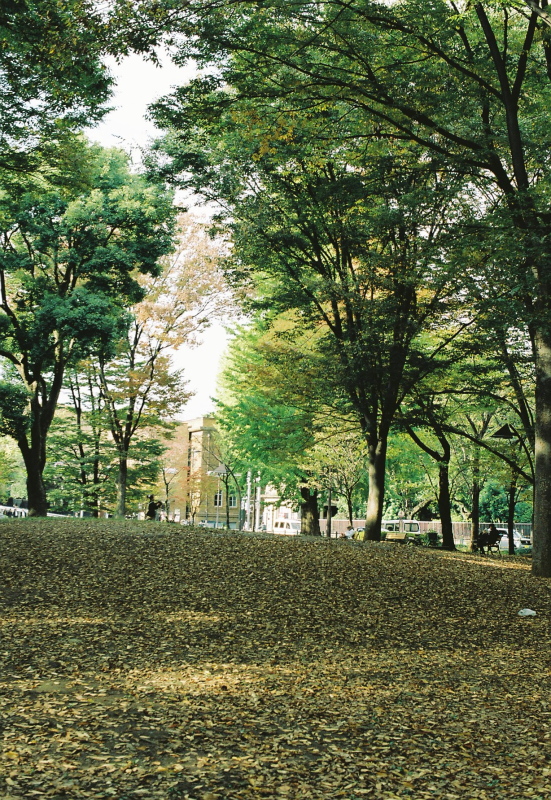 f0358531_1546545.jpg