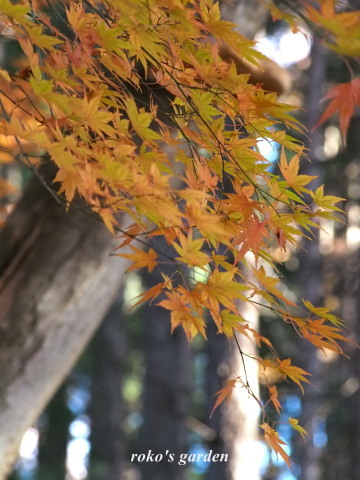 b0343934_23155798.jpg