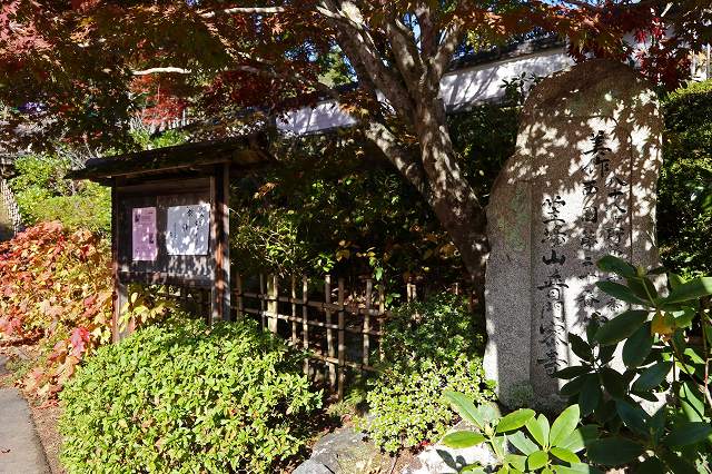 a0242438_1752061.jpg