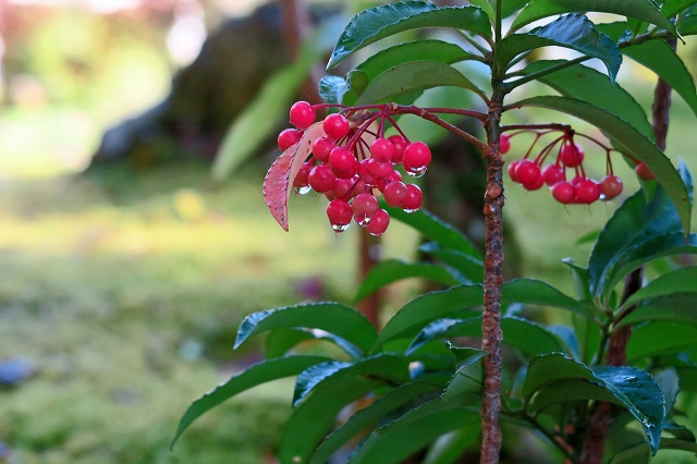 a0242438_1754493.jpg