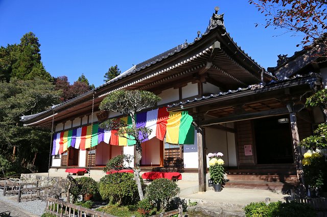 a0242438_17553514.jpg