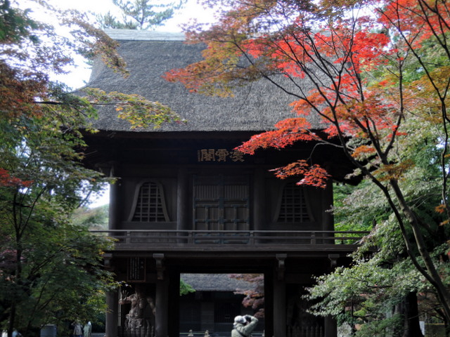 b0075140_1850157.jpg