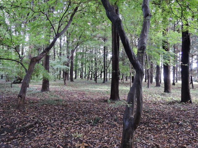 b0075140_18503536.jpg