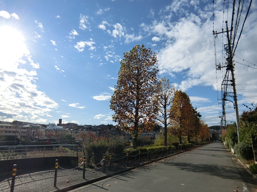 b0120541_22584826.jpg