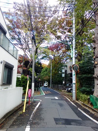 a0068350_23111558.jpg