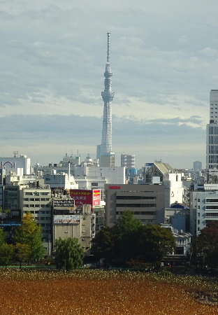 e0172950_19481743.jpg