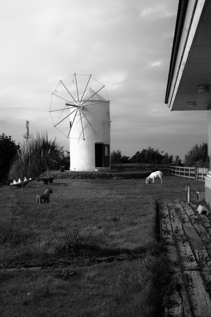 f0206356_2012395.jpg