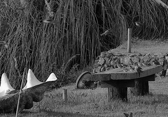 f0206356_2013225.jpg