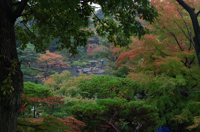 c0080357_13575277.jpg