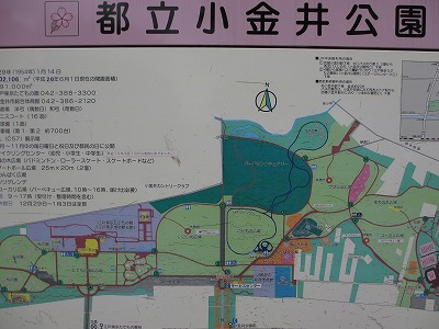 b0145863_12354233.jpg