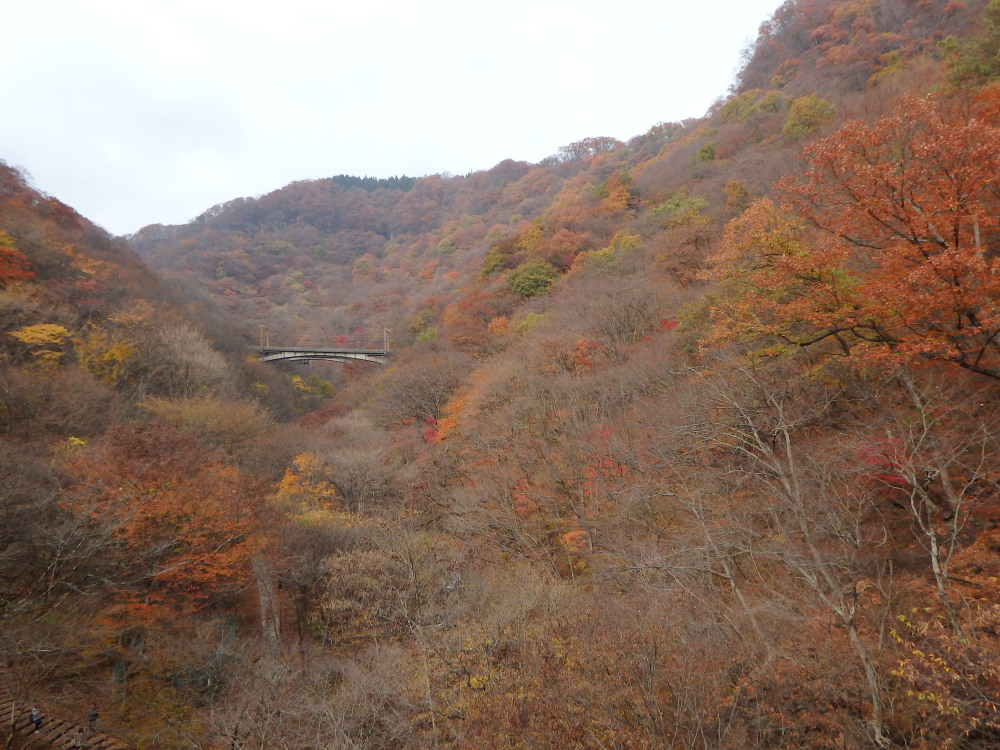 a0073065_1841137.jpg