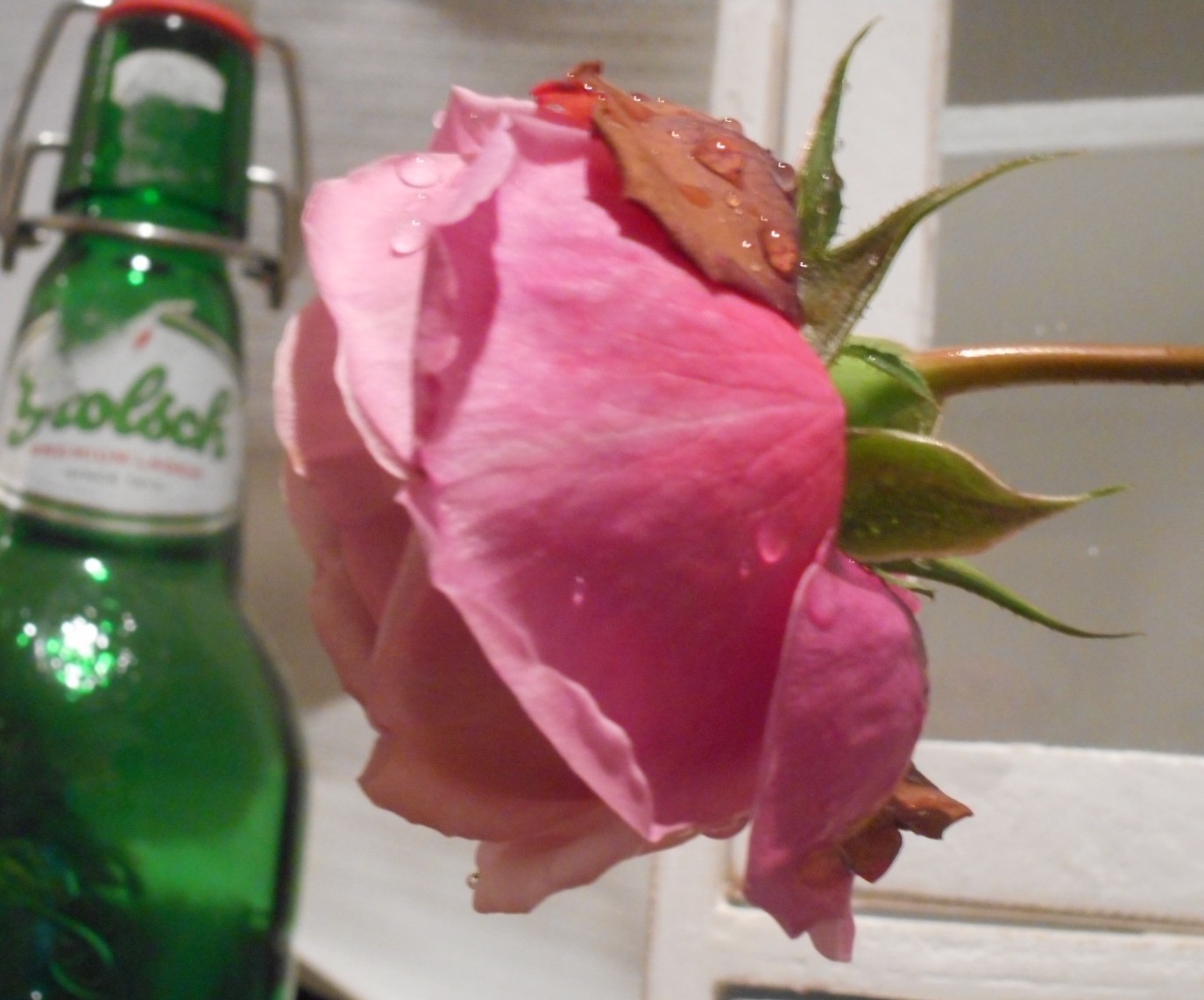 c0336266_05031515.jpg