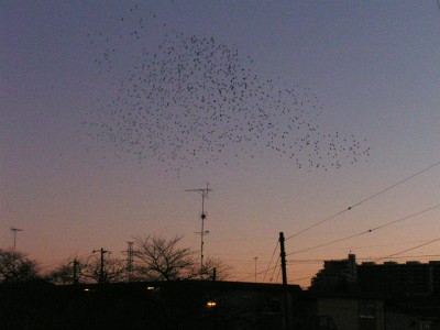 c0112172_23275588.jpg