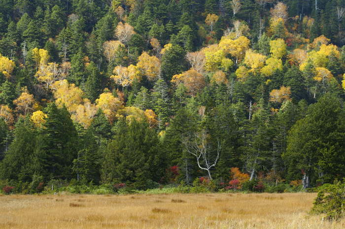 e0307372_15071622.jpg