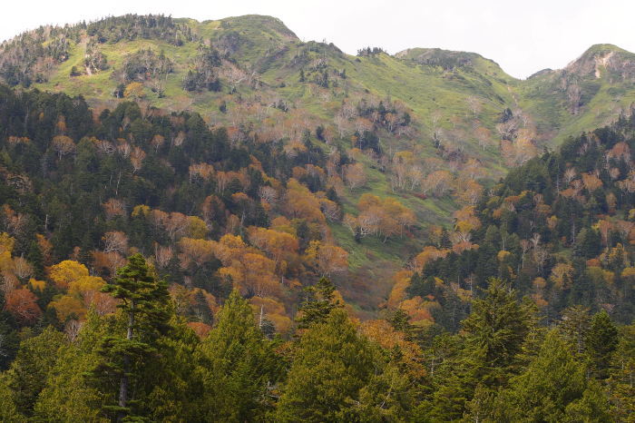 e0307372_15075026.jpg