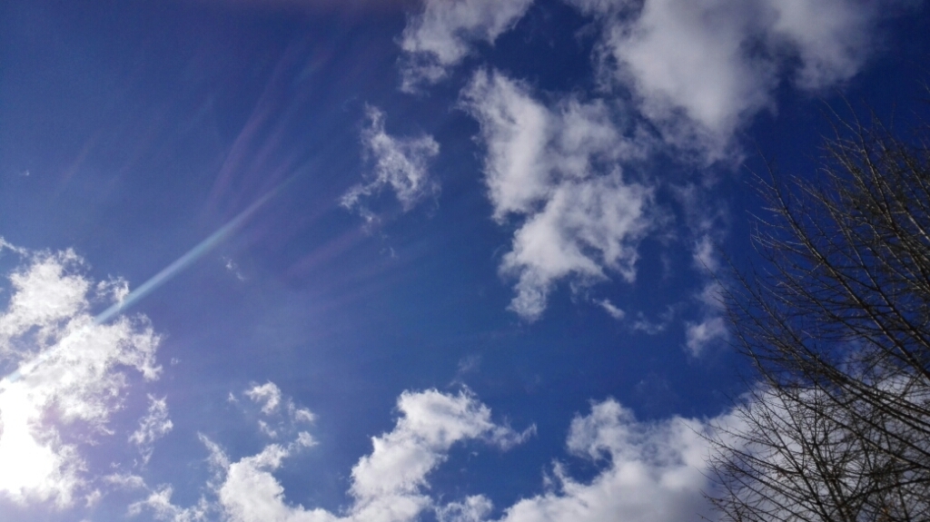 e0352681_16514426.jpg