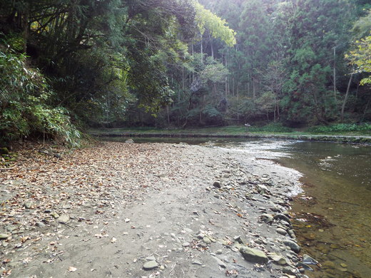 e0145782_15334090.jpg