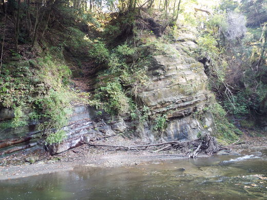 e0145782_1535396.jpg